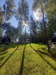Sosnowa Odnowa - domek na Mazurach z sauną i balią