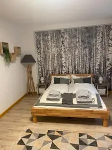 Forest Apartment-Forest Escape Menzenschwand - سانت بلاسين
