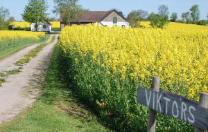 3 Bedroom Amazing Home In Vollsjö