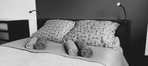 Apartament Turysty Zamczysko - Adamów