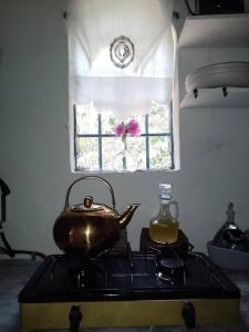 If you enjoy nature, La Antigua is the place