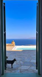 Cosy villa with infinity pool and amazing view