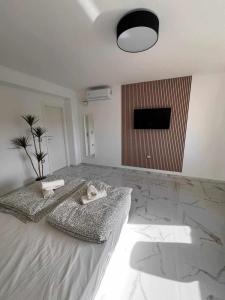 Old Port la Marina - Luna