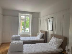 The R Apartment Munot - Old Town