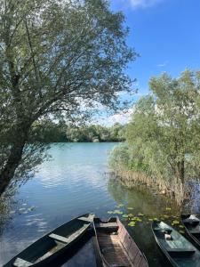 Skadar Lake View