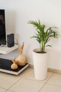 Elegant & Central Two Bedroom Flat