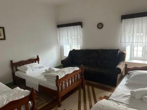 Traditional House & Rooms Shapllo