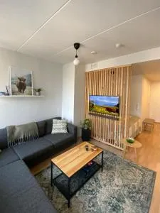 Tikkurila Apartment Neilikka - near airport - Tapaninkylä Tikkurila Apartment Neilikka - near airport - Tapaninkylä