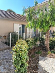 Appartements Bandol T3 a deux pas du port et des plages : photos des chambres