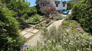 Neptunia Paradise - Samos