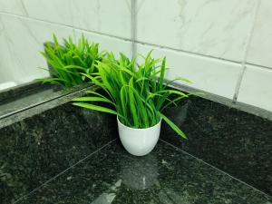 Flat no Cupe - Porto de Galinhas - Cupe Garden 215 - By Anfitrião Legal