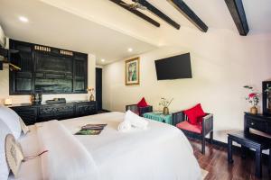 Art Museum Villa Hoi An