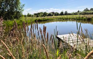 1 Bedroom Beautiful Home In Bedzino