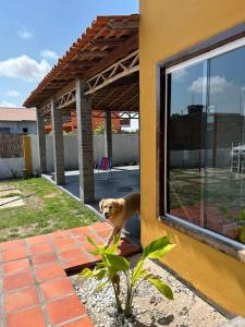 Casa Alegre - Santo Amaro MA