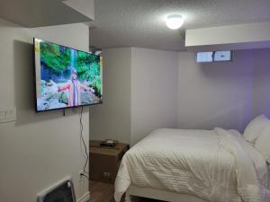 Cozy room basement with separate entrance