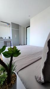 Hue House Stay nguyên căn Villa sát bên Aeon Mall Huế