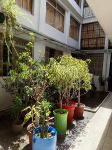 mini suite centro histórico