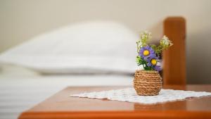 Deluxe groundfloor apartment with beautiful garden for long term rental