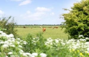 Stunning Home In Ribe