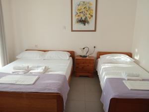 Tatiana`s apartments