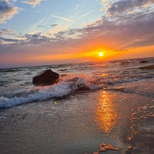 Apartamentai 3- jų kambarių Palanga