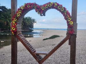 Penthouse Apartment with Bay and Mountain Views, Rooftop BBQ, AC, Fast WiFi, Near Saladilla Beach, Barahona