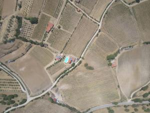 Agriturismo B&B Domo De Resteblas img80