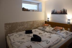 Apartmán Na Stezce Rychlebské stezky