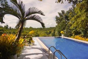 Vista Verde, Family Living