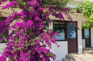 Villa ASTROLOGY