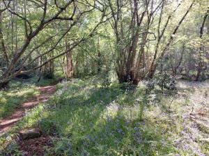 Treetops - Bright 2 Bed Flat - Super Location