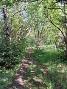 Treetops - Bright 2 Bed Flat - Super Location