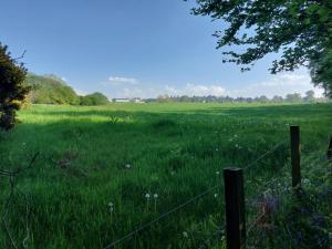 Treetops - Bright 2 Bed Flat - Super Location