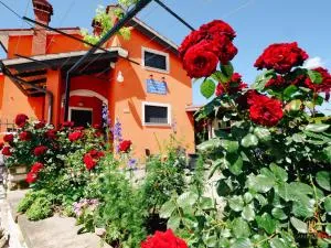 Apartments between Vineyards & Sea - Dragonja