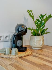 Bohemian Hideaway Historic Center Sofia Parking