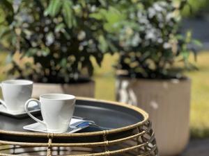 Apart Harmony - Willa Kapitańska