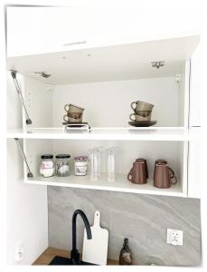 SouvenirAppart Sniadeckich 45M3