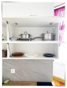 SouvenirAppart Sniadeckich 45M3