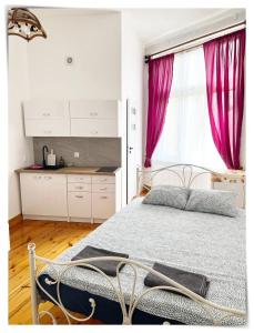 SouvenirAppart Sniadeckich 45M3