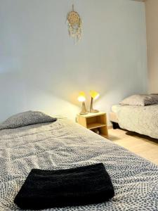 Appartements Villa Les Ruches - Piscine & Clim : photos des chambres