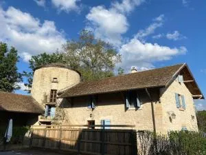 Château Frontonas gîte ferme - Frontonas