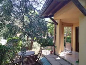 Blu - San Giovanni in Marignano