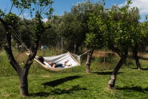 Dimitras Home