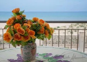 Casa Letizia - 阿尔卡莫