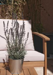 Studio rénové avec belle terrasse