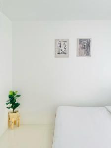 WV 11 Sleek and Cozy Studio