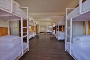 Bunk Central Hostel