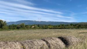 Maisons de vacances maison familiale de vacances : photos des chambres