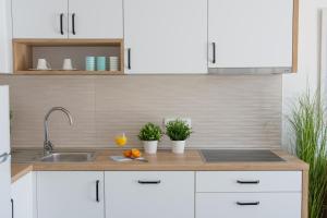 Srnec Apartments - Crikvenica