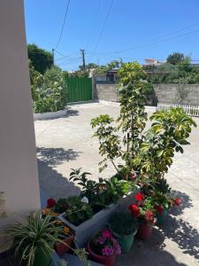 Rental Houses Dukaj